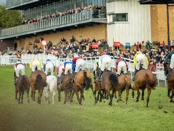 cheltenham festival odds|Fontwell launches new chase series with £40,000 final.